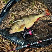 Westin Ned Worms Sets 7cm/3g